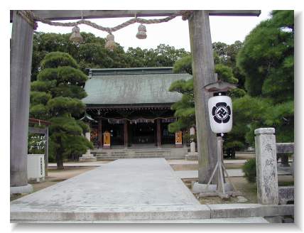 �����_��