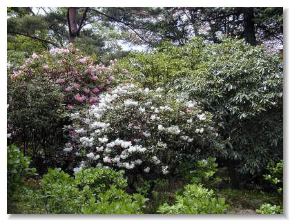 �Γ��(���Ⴍ�Ȃ�)