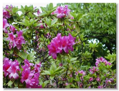 �U�P(��)