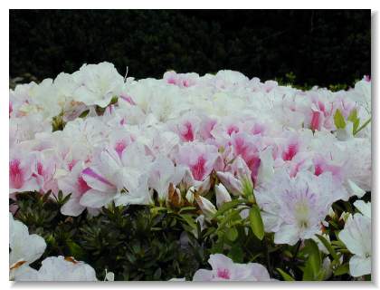 �U�P(��)