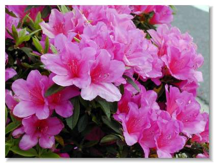 �U�P(��)