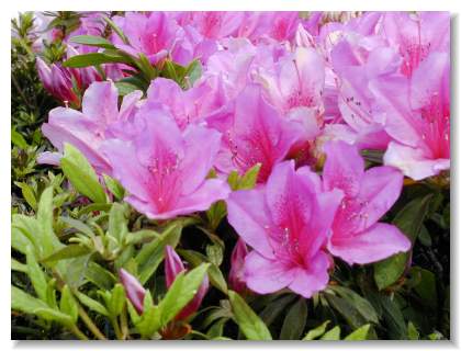 �U�P(��)